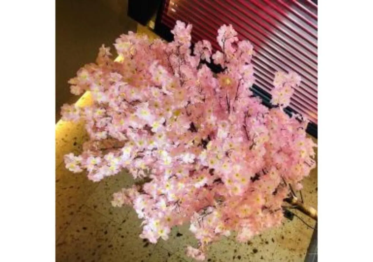 Sakura Sky Hotel - Vacation Stay 18449V Tokyo 0*,  Japan